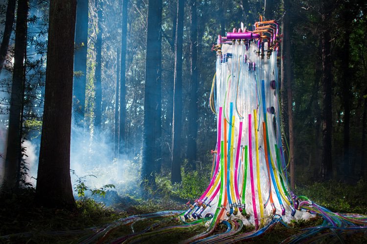  #DailyJapanArt: "New Generation Plant": Unique Art Film Project Collaboration Between Harajuku-Based Artist/Director Sebastian Masuda & Japanese Cosmetics House  #POLA #Kawaii  #Harajuku @sebastea
