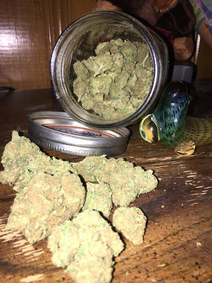 GanjaTimothy's tweet photo. text or call +1 (469) 431-1109
https://t.co/3jHxv2aca8
we have Top Grade Sour diesel,
Og kush, White Widow, Purple Kush,
Girls Scout Cookies, AK 47, Green Crack,
Lemon Haze, Purple Haze,
Hash Oil, Wax, and Moonrocks https://t.co/7wSFadWfq0