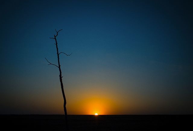 RT x.com/unaciertamirad… The End . . . #landscape #landscapephotography #landscapelovers #landscapecaptures #sunset #sunset_pics #sunset_vision #folksouls #tree_brilliance #treehousemas…