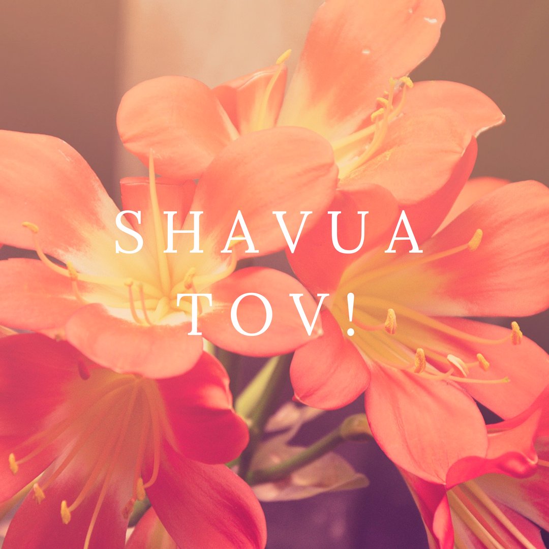 ShaniHomeIsrael's tweet photo. #ShavuaTov #Jewish #Judaism #Israel #Israeli #IloveIsrael #LivinginIsrael #Israel2018 #Aliyah #MoveToIsrael #MakingAliyah #RealEstate #BuyersAgency #ShaniHome #JewishFamily #JewishTradition #JewishChildren #JewishWedding #BarMitzvah #BatMitzvah #Kosher #KosherCooking #KosherLife https://t.co/CN6OigWJzw