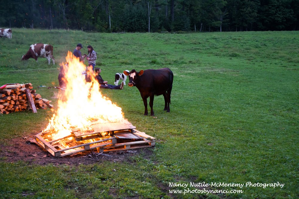 Posted photos of Terrible Mountain Stringband at #TaylorFarm #londonderry #VT #ThisIsVT photosbynanci.smugmug.com/Ida-Mae-Specke… #VermontTourism