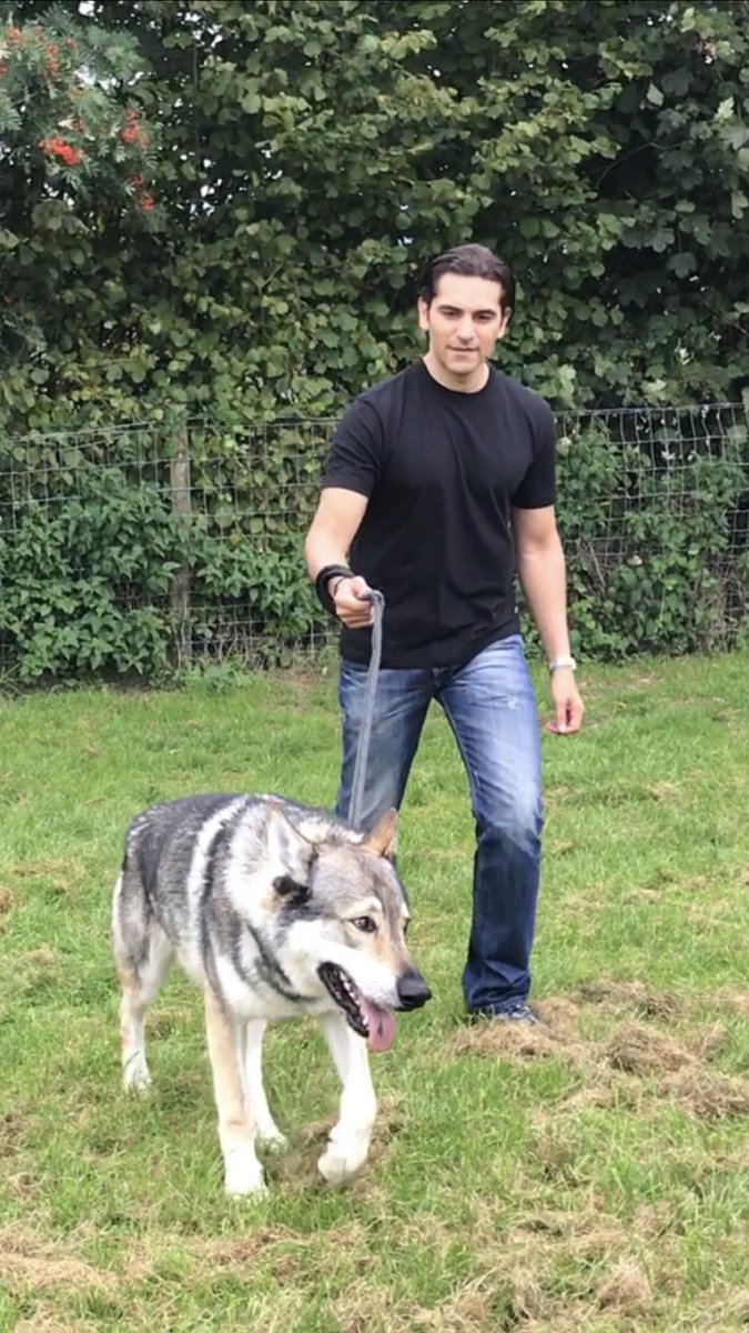RahulJagtiani's tweet photo. A walk with a wolf on a Sunday morning with @VisitBritainIN #PredatorExperience #LakeDistrict #PlushPlaceswithRahulJagtiani https://t.co/BYkYEstyXD