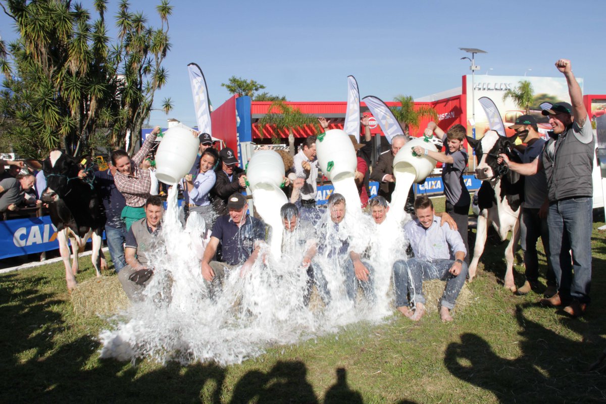MilkPointBR's tweet photo. Conhecidas as campeãs da Expointer do concurso leiteiro da raça holandesa https://t.co/sWYGb0aoZ3 

#expointer #gadoholandes #esteio #riograndedosul #leite #banhodeleite #produtorrural #rural #produtordeleite #dairyfarmer #expointer2018 https://t.co/Jm10ublFBF
