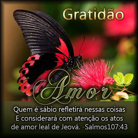 Jw Amor Gratidao 1 Joao 4 11 T Co Mxm3asjfn5