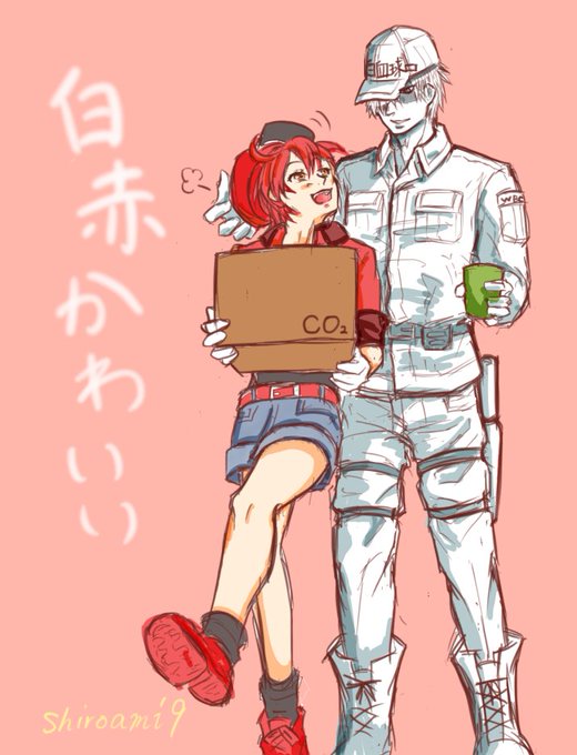白血球のtwitterイラスト検索結果