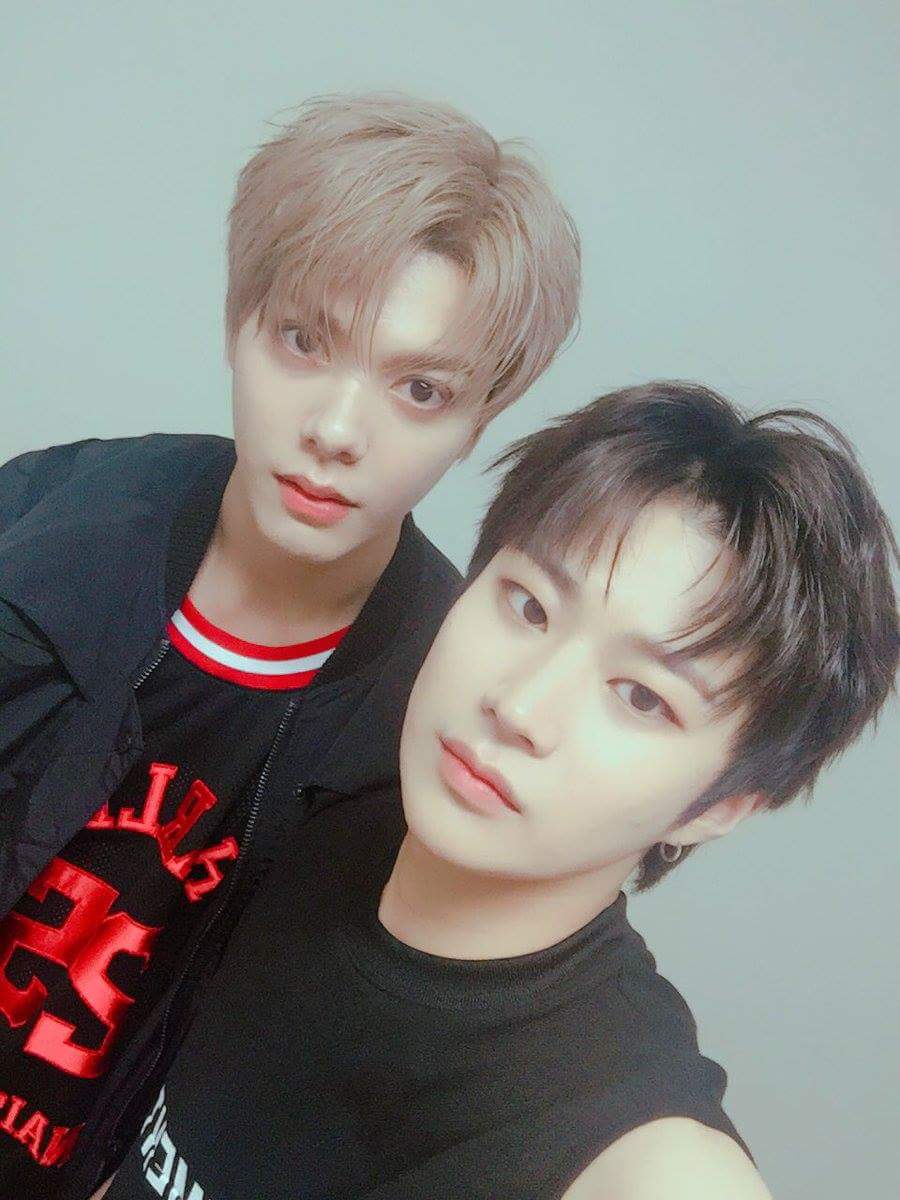 UNBFrance's tweet photo. 「TWITTER」180720  📌  MARCO, HANSOL @ official_UN_B

🇫🇷 : ❝ [#FOR_UNME] 

🎁 pour nos UNMe 
Nous sommes tous deux en bonne santé 💪🏻 
Bonne nuit ⭐️ 
#유앤비 #UNB 
#Marco #Hansol #Hansolrco🐢🦒 ❞ https://t.co/9Dn040mKB9