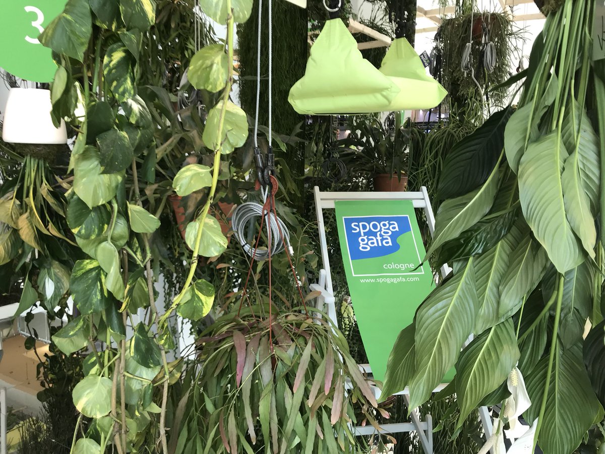 Lab_VERDE's tweet photo. @spoga, la creatività è di casa! #garden #gardening #homedecor #trade #business https://t.co/Z0Ya8ek02o