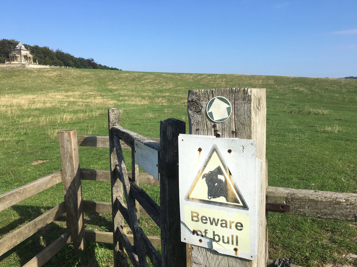 When your easy run turns to tempo! 😳🐂 #trailrunning #yorkshirerunning #temposession