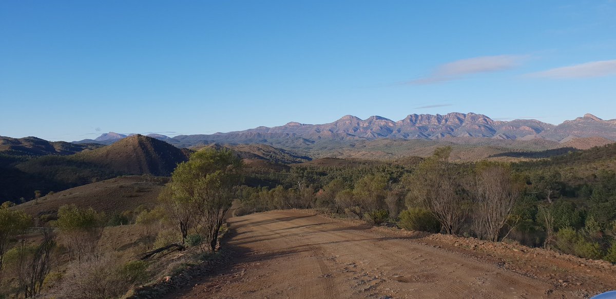 le_rako's tweet photo. Long first day in flinders range. Cards are filling up fast, what a place ! Yellow footed rock doing there thing was amazing π, 2C night temp were not expected but I am rugged up like crazy. 2 more days to get more shots ! #wildoz #flindersrange https://t.co/xSXqVUTvu3