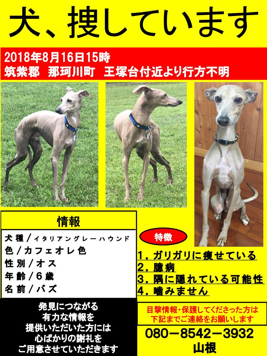 Rei Rontikotaro Twitter Rei Rontikotaro Twitter