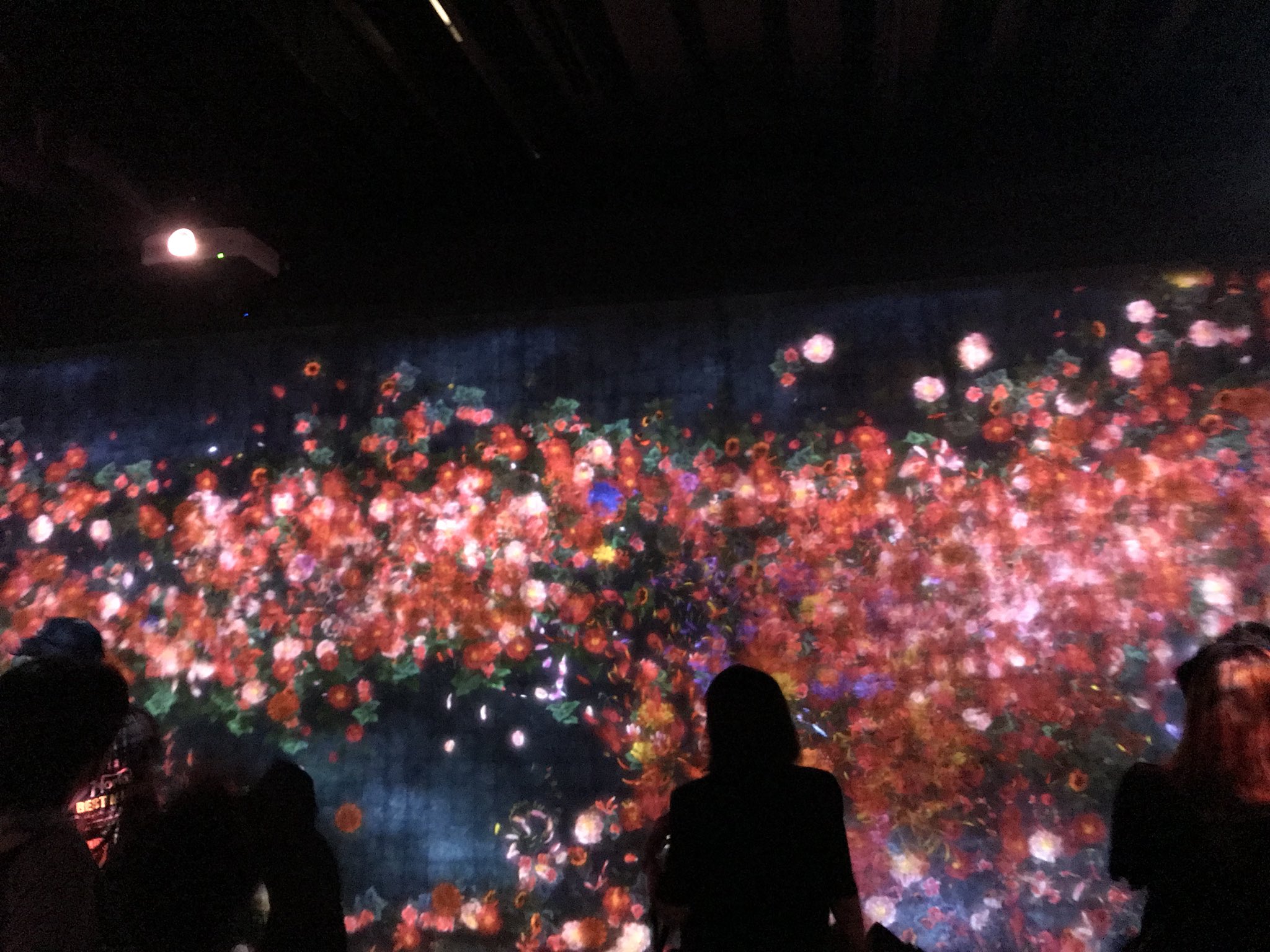 チームラボ秋田展 秋田近美 Teamlab Akita Twitter