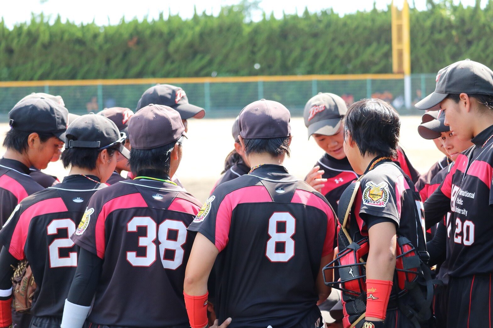 IPU女子ソフトボール部 on Twitter