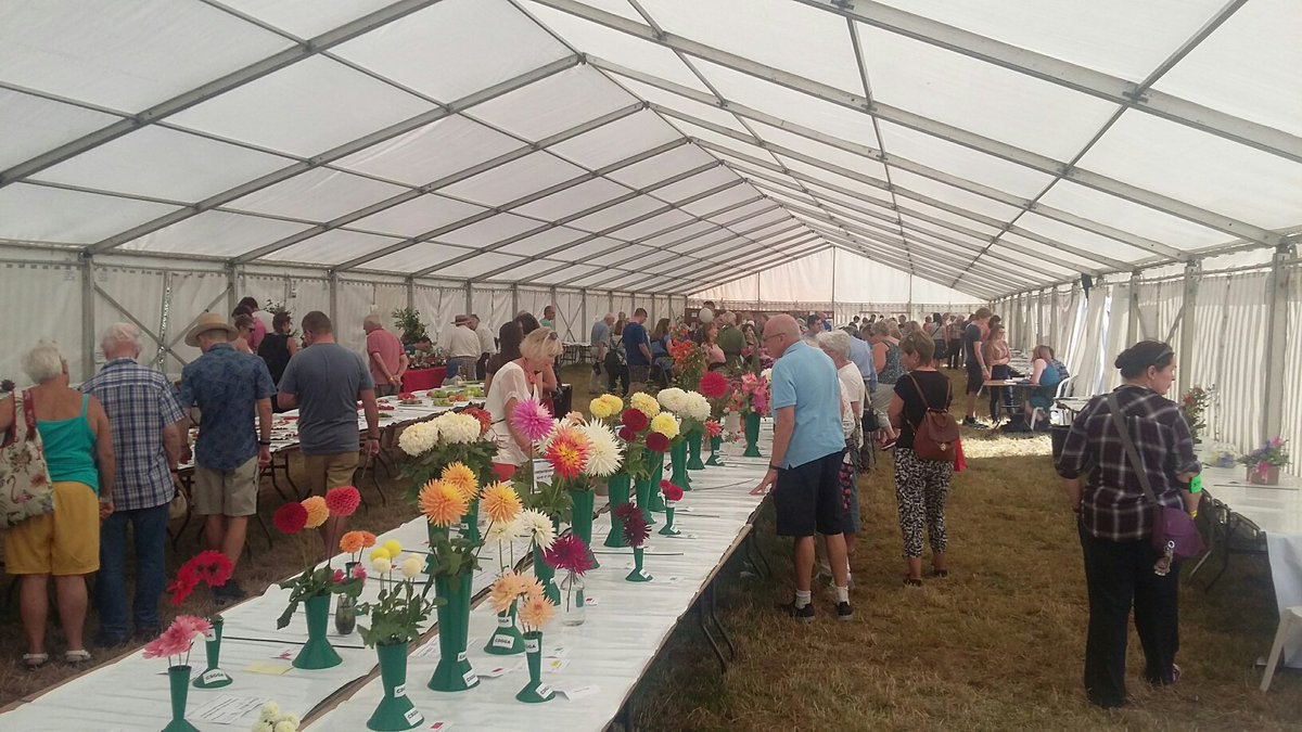 Carl Jackson 🇬🇧 tweet media