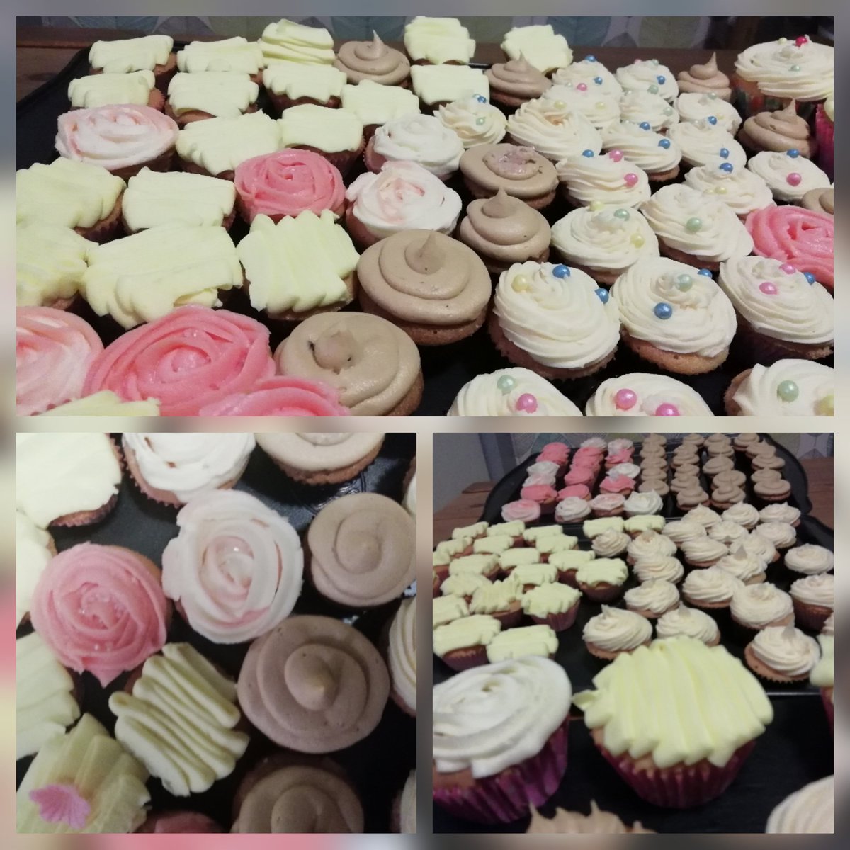 TouchDelightful's tweet photo. Mini #cupcakes! The lemon cupcakes will be one of our regulars, with guest flavours Coffee Caramel, Orange &amp; Vanilla, and Turkish Delight. We are opening mid September. https://t.co/Wb5fDJH1lA
