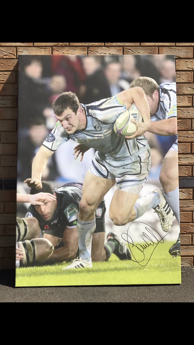 TomJ_11's tweet photo. Sam Warburton OBE @samwarburton_ 
Glamorgan Wanderers
Cardiff Blues
Wales U18,19,20's
Wales 74 caps 
Lions 🦁 5 caps 
Auctioning off this signed canvas of Sam, with all proceeds going to @mentalhealth INBOX me with your bid #PleaseRT #LIONS #WALES #BLUES #LEGEND https://t.co/tbuHHQBo8R