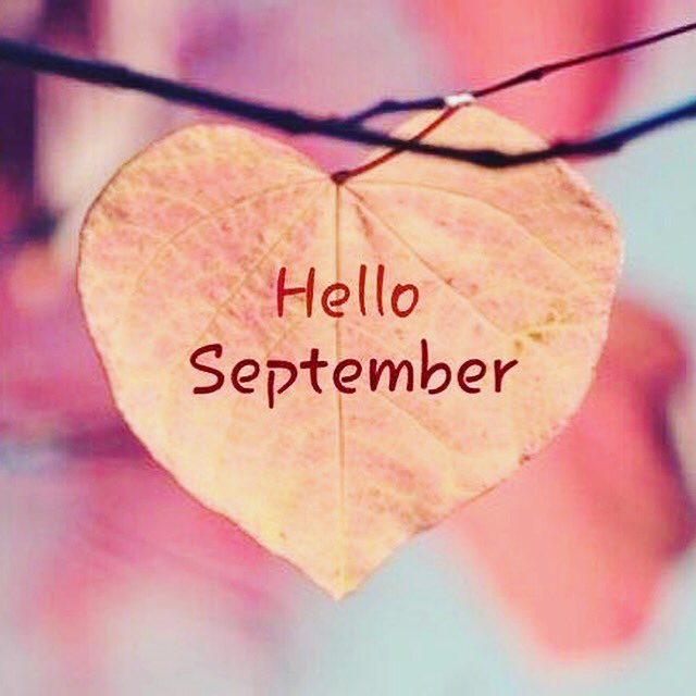September has arrived and the sun is back out #sunningseptember #indiansummer #familywedding #sunisout☀️ #icecream