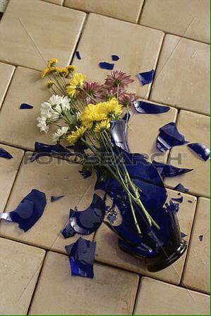 Переклеенная ваза уннв текст. Разбитая ваза с цветами. Разбитая ваза на полу. Осколки вазы на полу. Ваза разбилась.