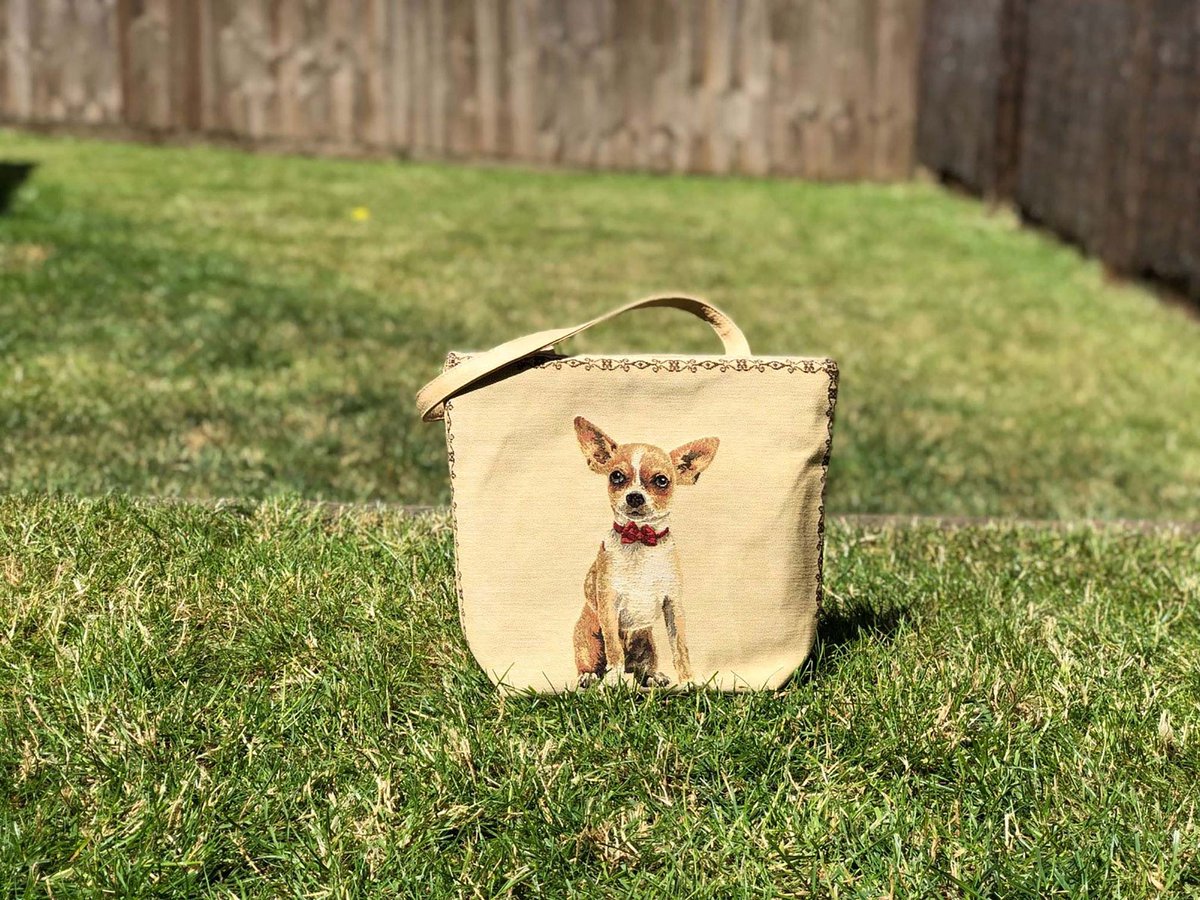 Have you ever seen anything as cute as our Chihuahua tote bag? We didn’t think so... ow.ly/gRyU30lzd9X