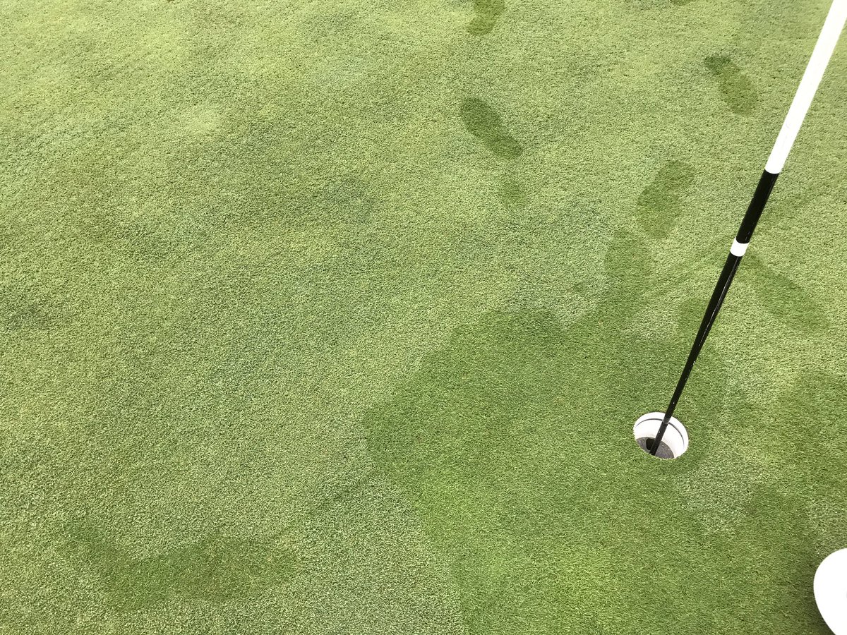 With aerification done 8 days ago the healing process is going great.  The <a href="/BattleCreekGC/">Ponds@BattleCreek</a> is almost back to smooth greens <a href="/RamseyCtyParks/">Ramsey County Parks</a>  #playnine