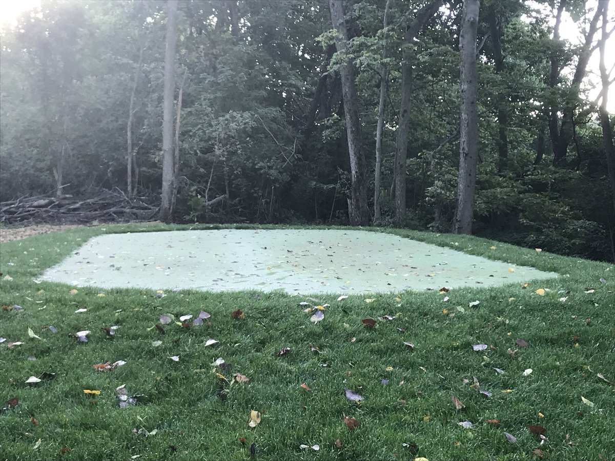ChathamAgronomy's tweet photo. New black/gold tee box on #17.  Seeded 8 days ago.  #PureFormance @T2GBentgrass https://t.co/rhCTMXPmbi