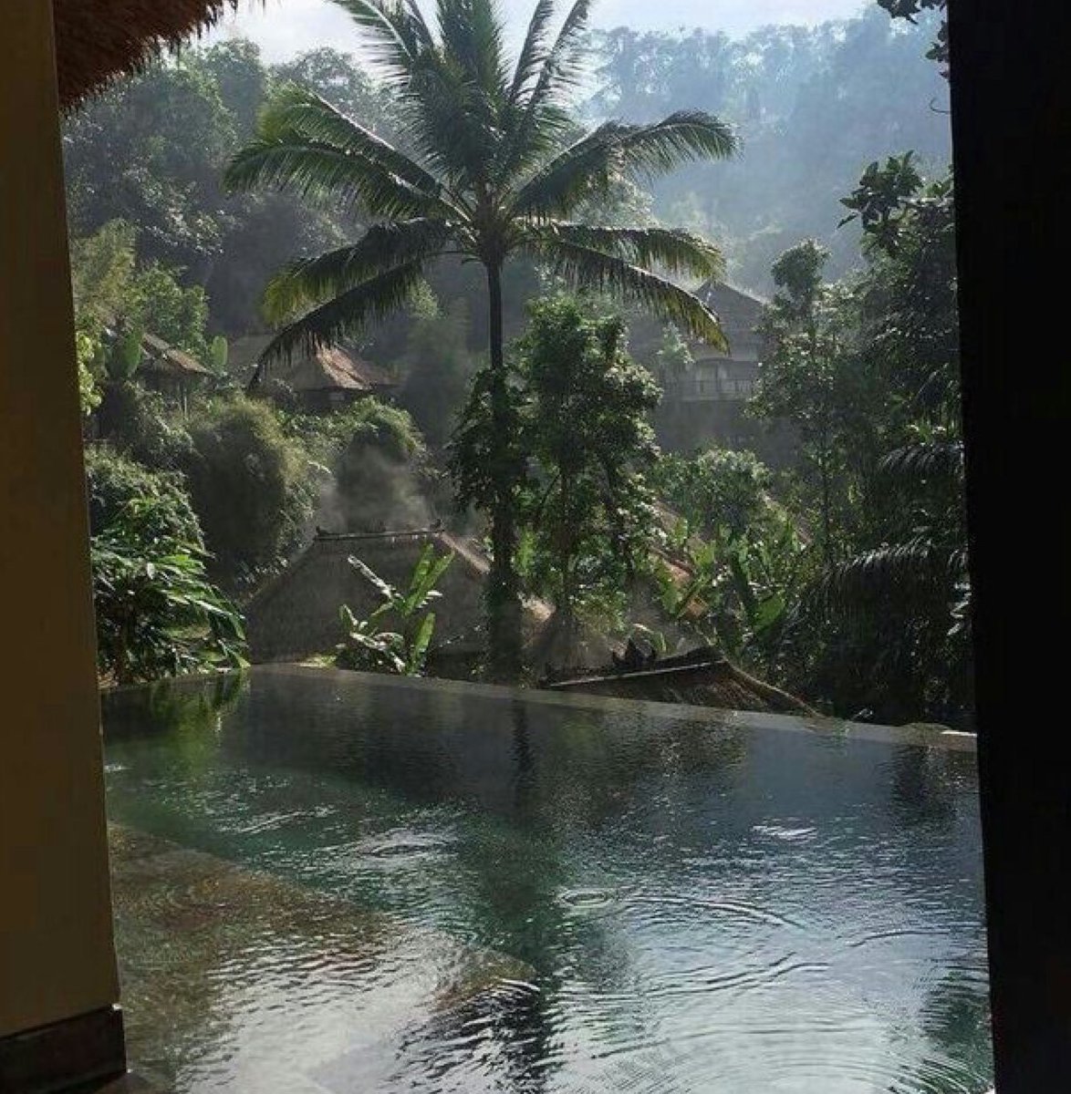 just_chantel_7's tweet photo. Wouldnโt that be nice ๐ #SundayMorning #AMSwim https://t.co/OabLnnUSYR
