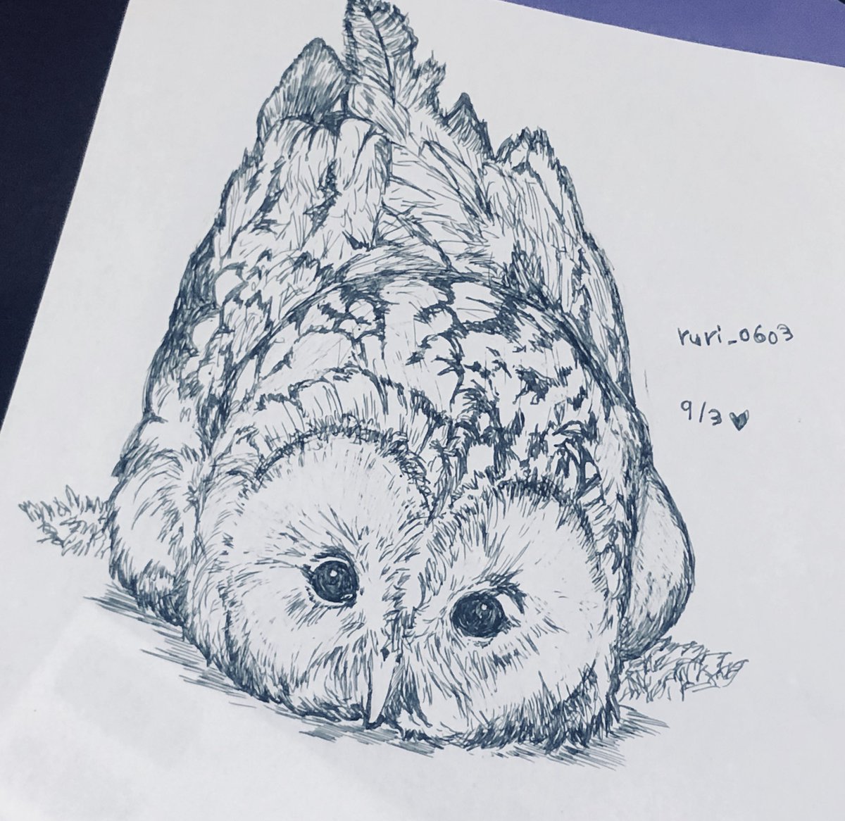 Twitter 上的 Ruri 0603 モリフクロウ君ホーホー O O アヒル寝 モリフクロウ フクロウイラスト 落書き好きさんと繋がりたい 落書き T Co Mtglhdal4l Twitter