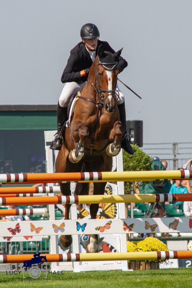 Tom Rowland tweet media