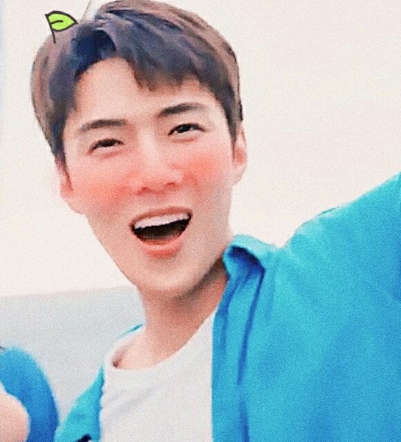 ohsoftbot's tweet image. ♡ˀˀ...↴ 
🐟 #오세훈 ⇢ #sehun #exo