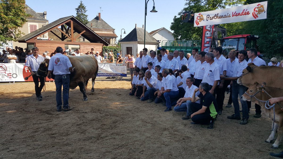 mfrpuysec's tweet photo. Felicitations au GAEC #Overlorde #Parthenaise #Hermenault #Vendée et aux organisateurs du concours @CathieGuillemet https://t.co/15xsrhLqG4