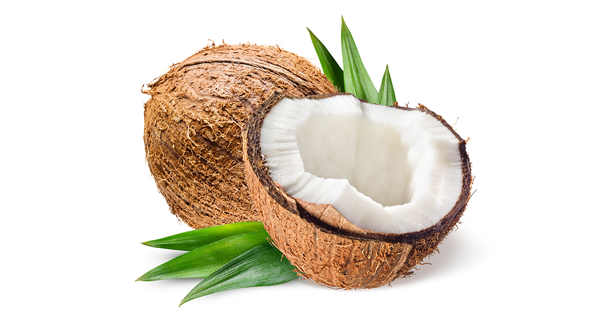 MicrosoftFCP's tweet photo. Happy #WorldCoconutDay 2018! To celebrate, enjoy these great coconut facts and recipe ideas!
https://t.co/skpIWqncyq https://t.co/sZVOqIlzuU