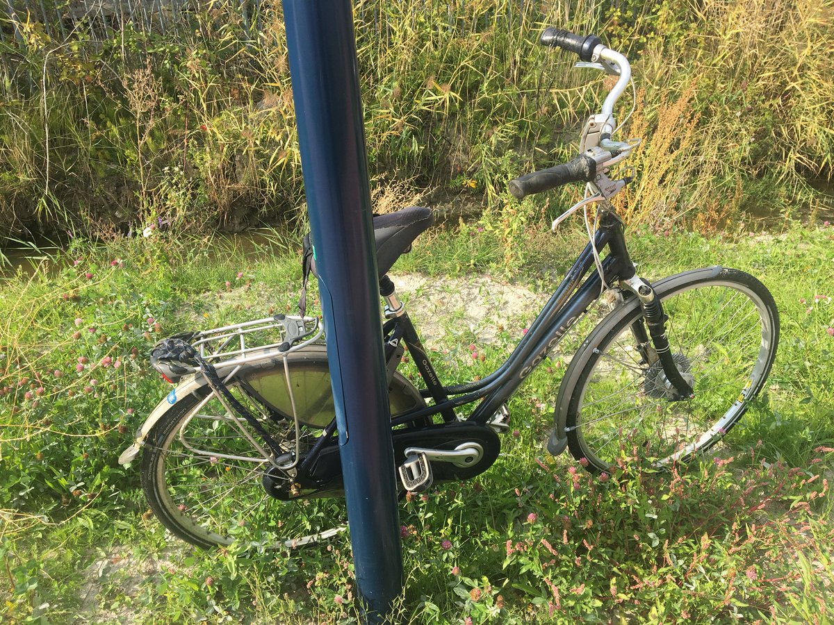 Net uit het water gehaald op de Almenumerweg.