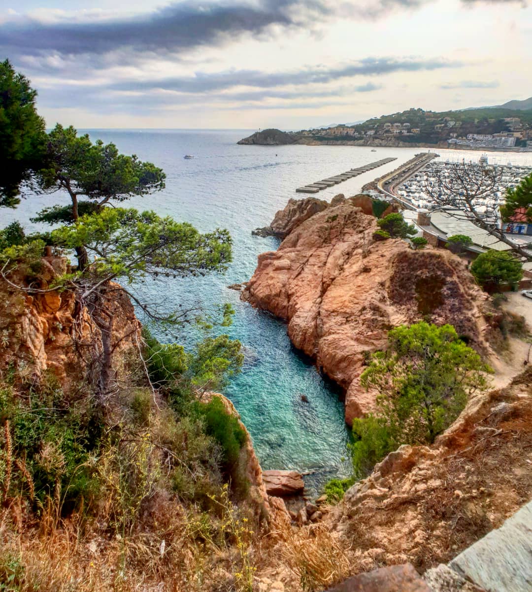 ricardrigall's tweet photo. Cala Jonca, a Sant Feliu de Guíxols. #calajonca #santfeliudeguíxols #elbaixempordà #bicicleta #btt #mtb #estiu2018 https://t.co/L6Z3ERZsQp