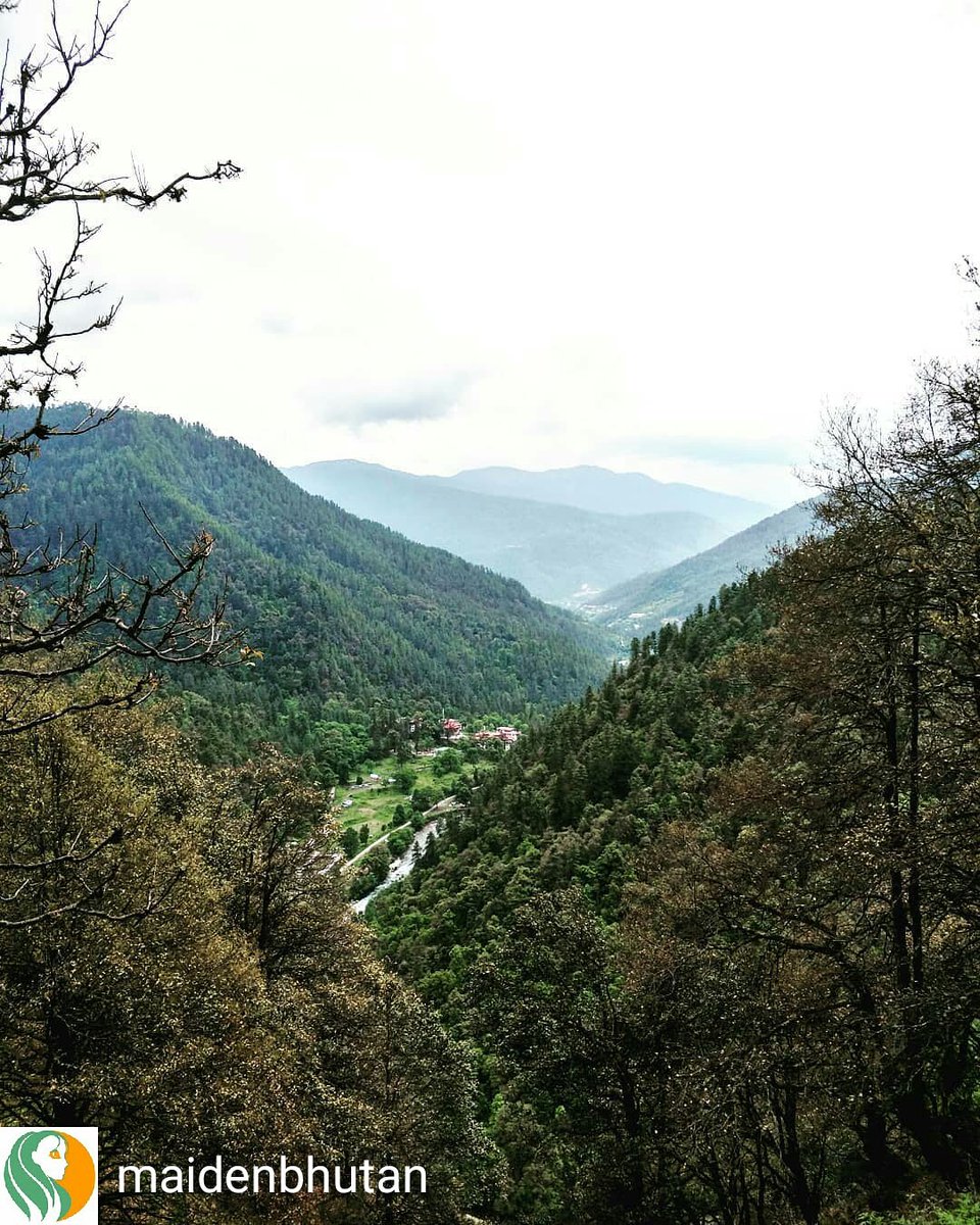 MaidenBhutan's tweet photo. Count how many hills make this stunning view...Here, we can actually say of every other person that s/he lives over in the other valley and we would be right, always. 
#valleys@maidenbhutan .
#pure #traveller #bhutan #believe #happiness #holiday #vacation #moments #motivation https://t.co/2xpIh9B49p