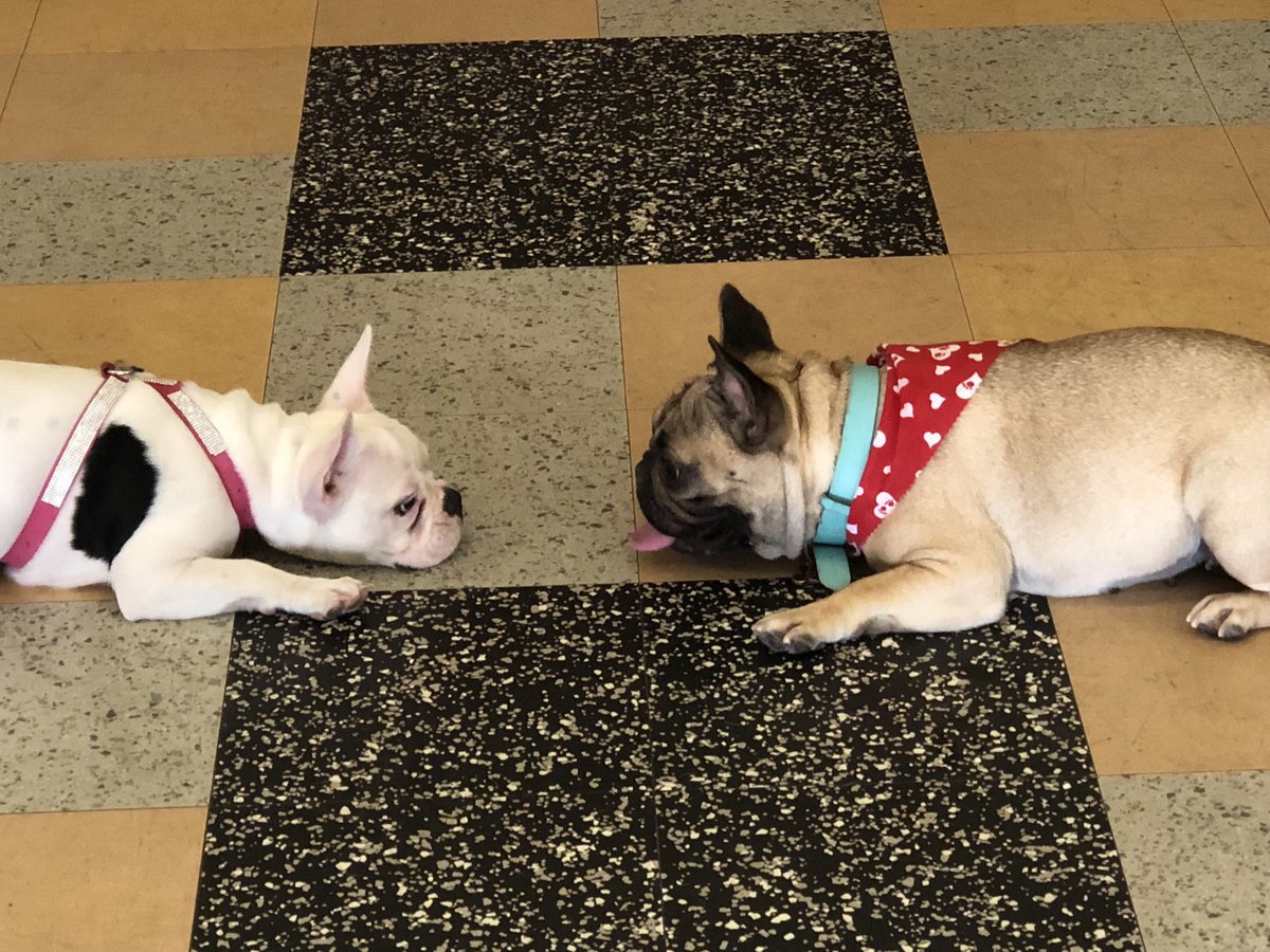 HappyHappyHazel's tweet photo. I had so much fun at the play date yesterday!  Made lots of new friends and enjoyed snackies!💕 https://t.co/VuoUwHk9Fl
