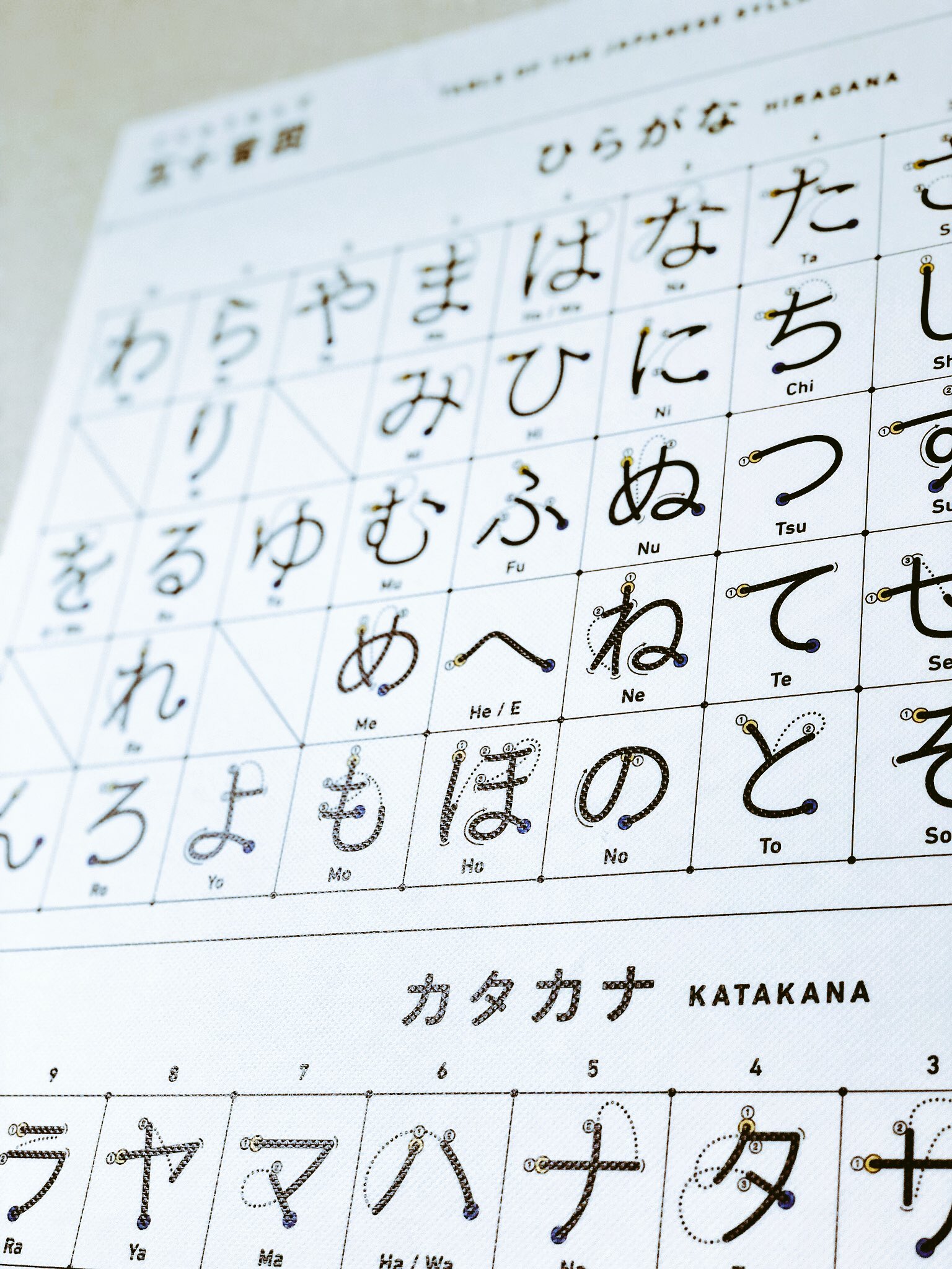 ぺったりー Pettary Pa Twitter Suzurijp さんで頼んだ吸着ターポリンのポスターが届きました シンプルでかっこいい仕上がりです 日本語の塾の壁にも良さそうです 日本語 ひらがな カタカタ 五十音図 Typography タイポグラフィ 文字 T Co