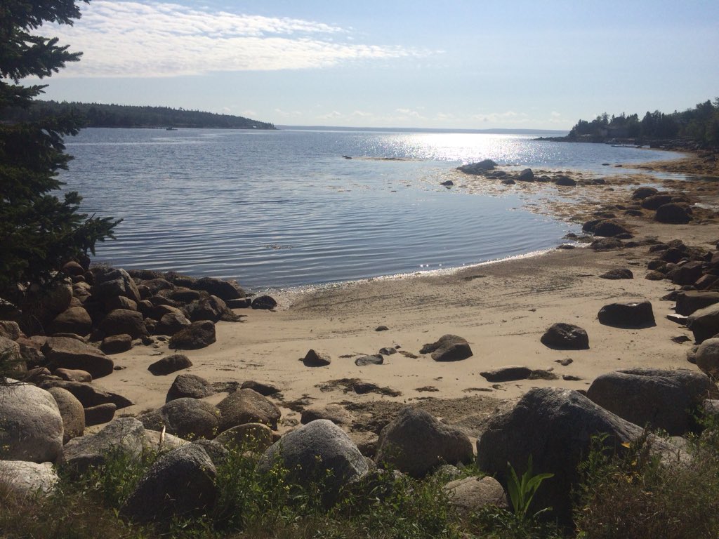 ADebisonCTV's tweet image. Beautiful morning for a long run in #Hubbards #NovaScotia