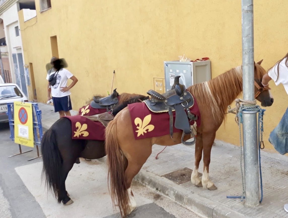 adipaccalafell's tweet image. FOTO DENUNCIA

Ponis al Mercat Medieval de Calafell lligats al sol, sense aigua, sense possibilitats de tumbar-se per descansar, sense possibilitats de bellugar-se. Això es maltractament animal. 
PROU MALTRACTAMENT ANIMAL. 
NI A CALAFELL NI A ENLLOC. @pacmacatalunya @FAADAorg