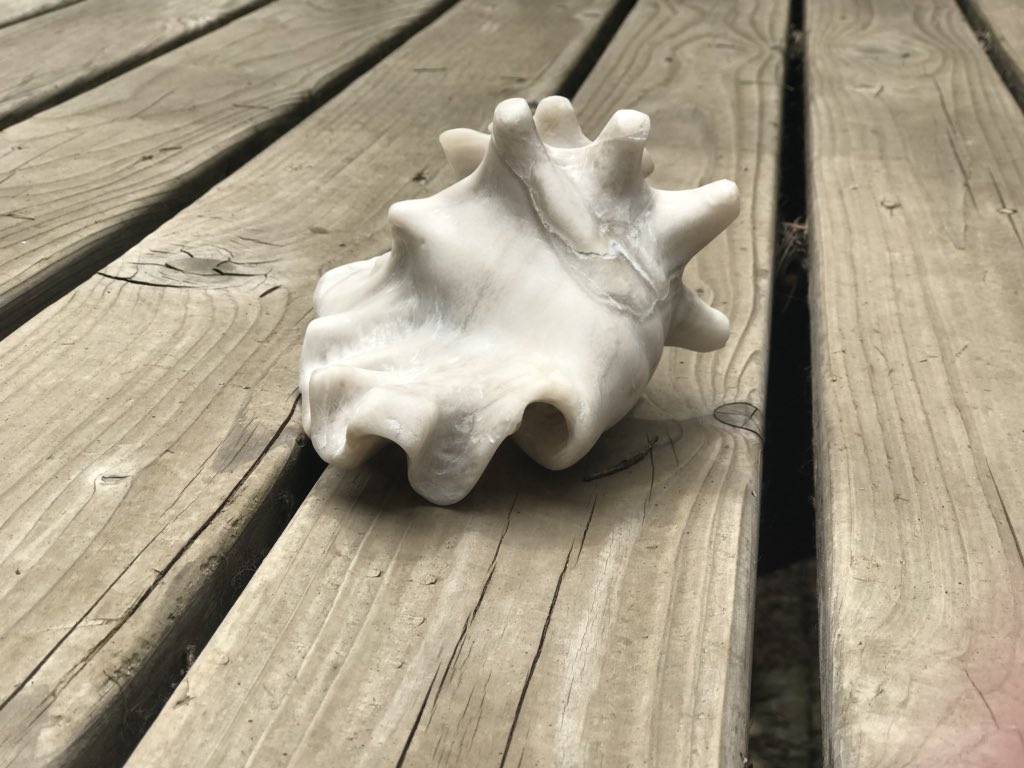 s_signed's tweet image. *****SILENT ART AUCTION*****
FUNDRAISER for TEAM ANGELA on GoFundMe!
For the month of September, I will be doing a silent auction to raise money to help my Niece out. She was just diag. with stage 3 Cervical cancer! I have pinned her story and GoFundMe pg to my FB business page.