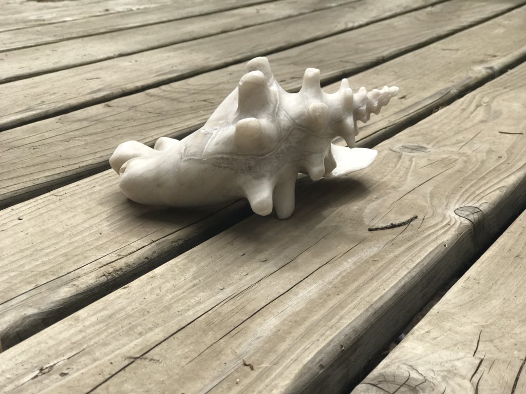 s_signed's tweet image. *****SILENT ART AUCTION*****
FUNDRAISER for TEAM ANGELA on GoFundMe!
For the month of September, I will be doing a silent auction to raise money to help my Niece out. She was just diag. with stage 3 Cervical cancer! I have pinned her story and GoFundMe pg to my FB business page.