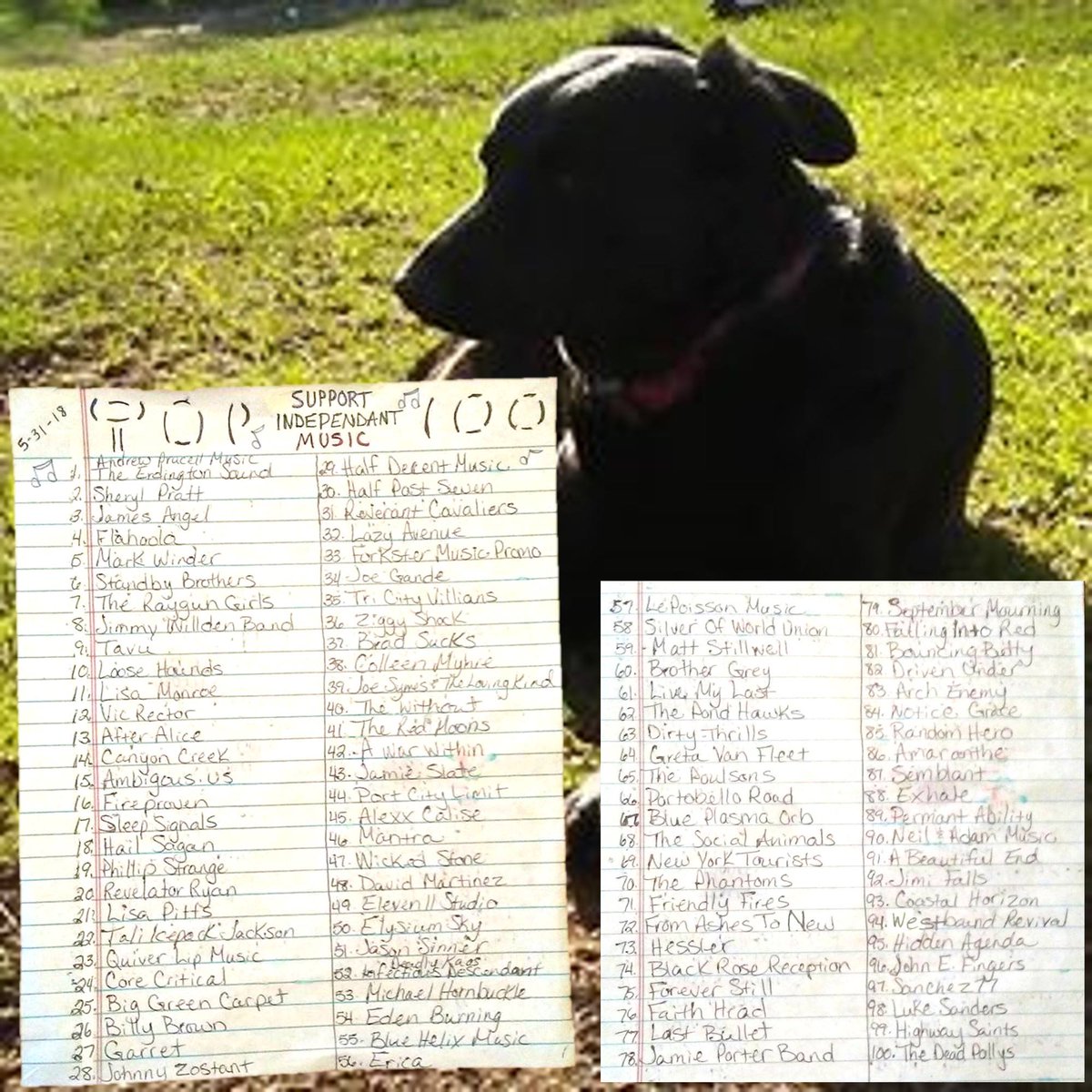 #BMT *Prømøtiøñ§* 🎼🎧🍂🕸💀🌹⏳️🐿🦝 tweet media