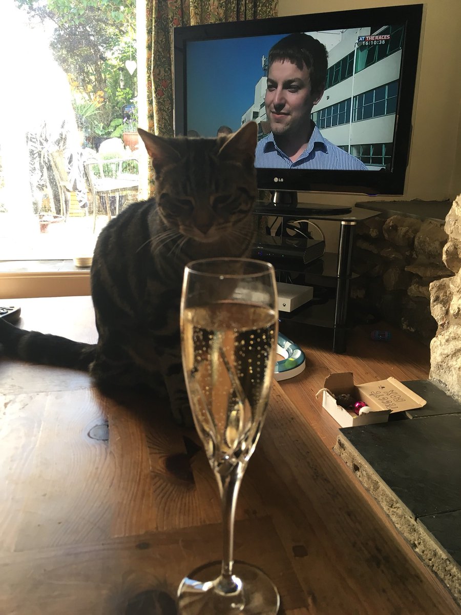 jpjpjp43's tweet image. Everyone’s getting involved here . #DoubleReflection celebration. @BrightonRace @karl_burke @OntoawinnerNEWS @mdri407 @clareislandboy @TomMarquand