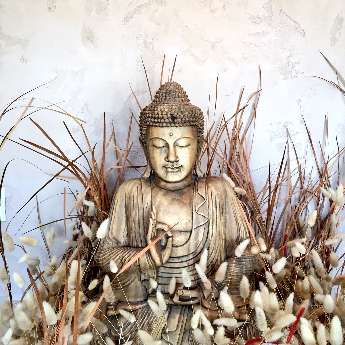 ChrysalisYogaCa's tweet photo. Are you ready for transformation?? 

Our studio owner, Shanine has taken some time to give some much needed love and care to our Buddha statue and his garden. 

Check out our before and after photos below! https://t.co/KPRh7elexg