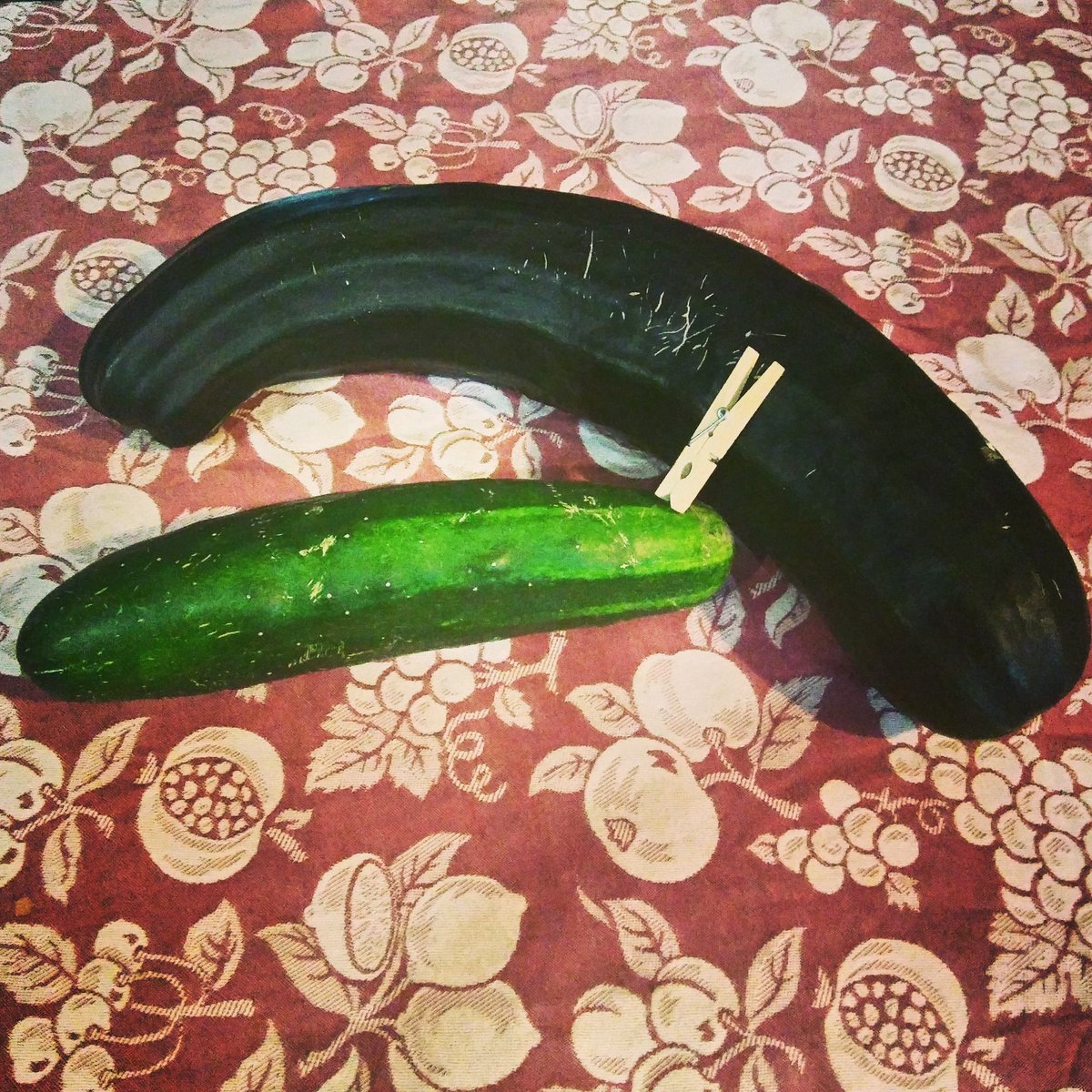 A ver qué hago con este pedazo calabazón y el pepinazo 😂😂😂