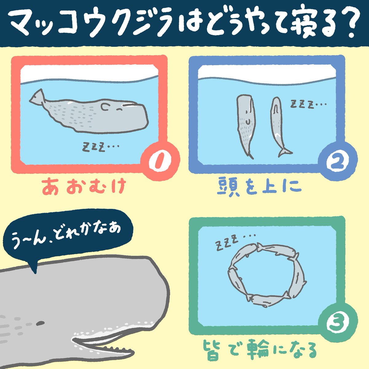 イラストで語るペリオのためのバイオロジー イラストで語るペリオのためのバイオロジー - クインテッセンス出版