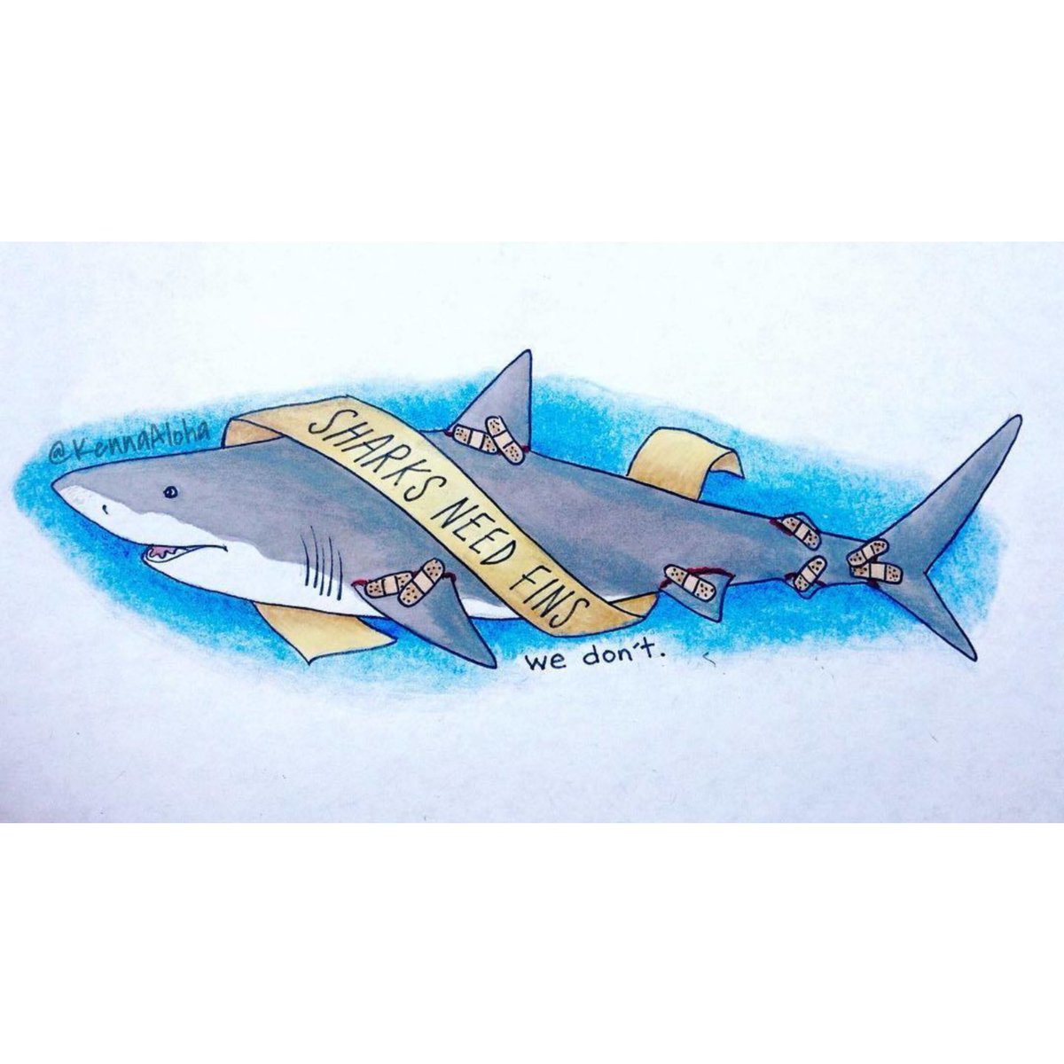 #Fish need their fins, we don't! 💔🦈💔 (By Kenna Aloha) #animalrights #sharks