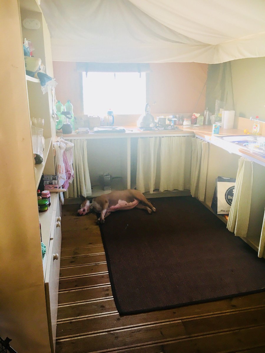 ruby_bull's tweet photo. Am totally knackered! I’m the kitchen away from everyone .... 😴😴😴😴😴😴 #donetoomuch https://t.co/ctRTYlaSKv