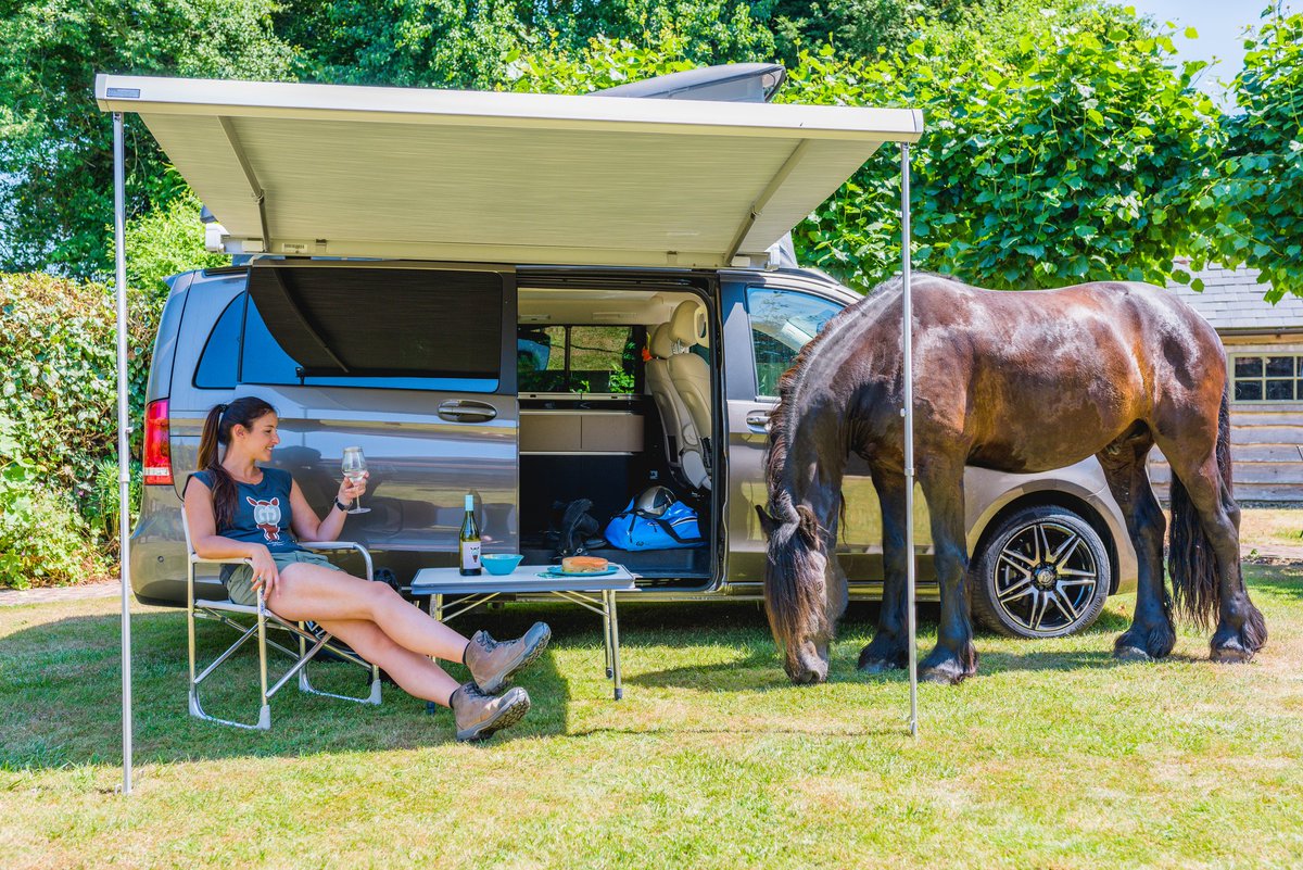 GG__Stuff's tweet photo. I hope you are all enjoying the end of the holidays. 😊
We couldn't have asked for a better summer! 🌞
Check out our summer sale while it lasts! 😎
#ggstuff #summer2018 #summerholidays #horseonvacation #equestrianholiday #equinephotodesign https://t.co/5WMdlCfMcF