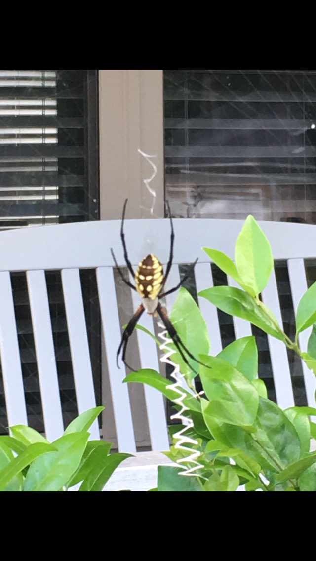 Hey @FaZeJev this was on my porch. Help