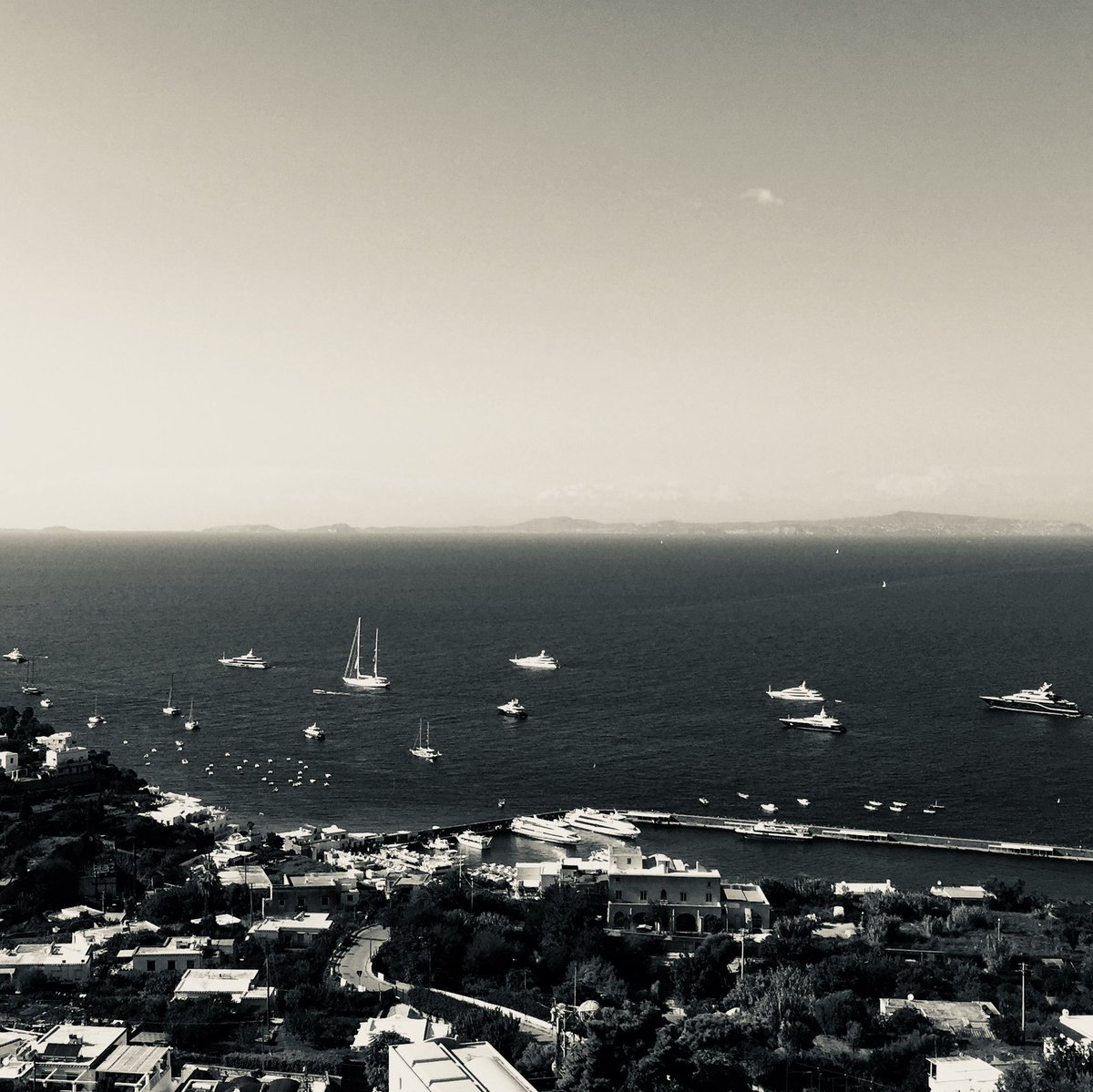 KateNetinho's tweet image. Day 6 of #blackandwhitechallange. Still not playing by all of the rules
