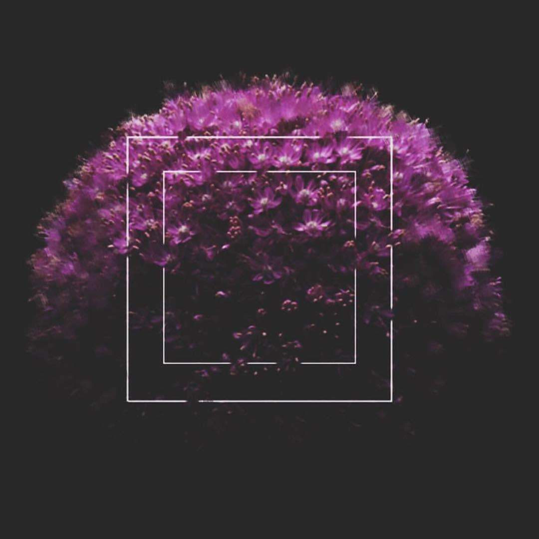 PhotoCandyApp's tweet photo. @_91.x with a minimalist take on Photo Candy edits.  Tag your edit #photocandy for a chance to be featured! https://t.co/ouiddMgSSp